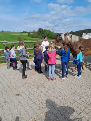 Jungzüchterlehrgang in Elzach Jungzüchterlehrgang in Elzach