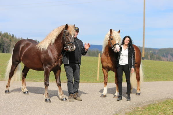 links Rossato, rechts Dilan   (Foto Alfred Schwr)