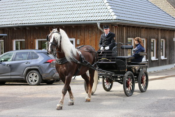 Ramon     (Foto Alfred Schwr)