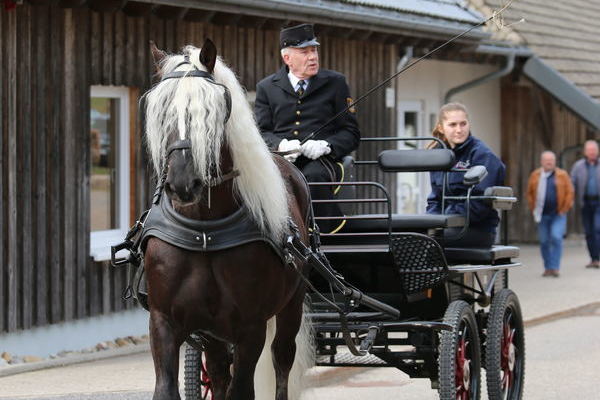 Ramon 1    (Foto Alfred Schwr)