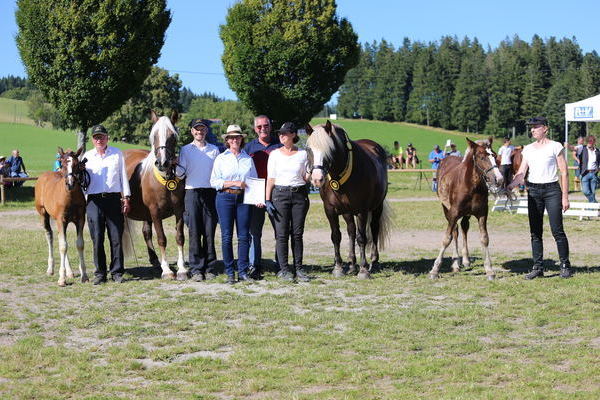 beide Siegerfohlen (Foto Alfred Schwr)