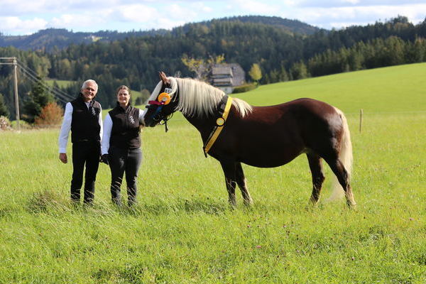 Kaja von Rubin, Note 7,94, Siegerin  6-9 j. Stute, Z+B  ZG Duffner aus Haslach (Foto Alfred Schwr)