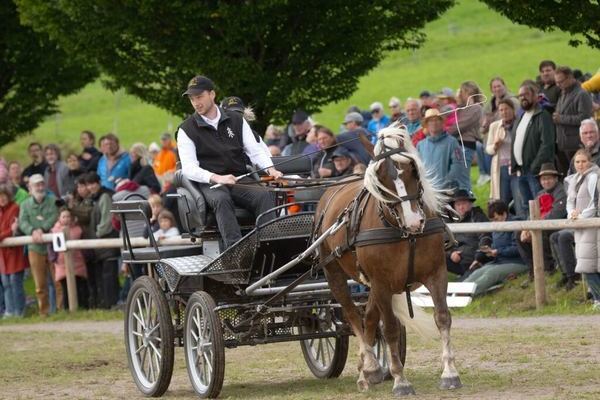 Schauprogramm Hindernisfahren (Foto Wolfgang Scheu