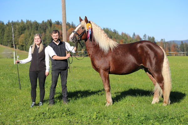 gek�rt Michelangelo