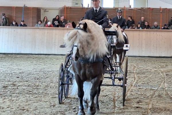 Ramiro  Deckstation Kury Elzach-Yach