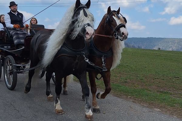 Von Baden und Waldsee Deckstation Finsterwald, Salem