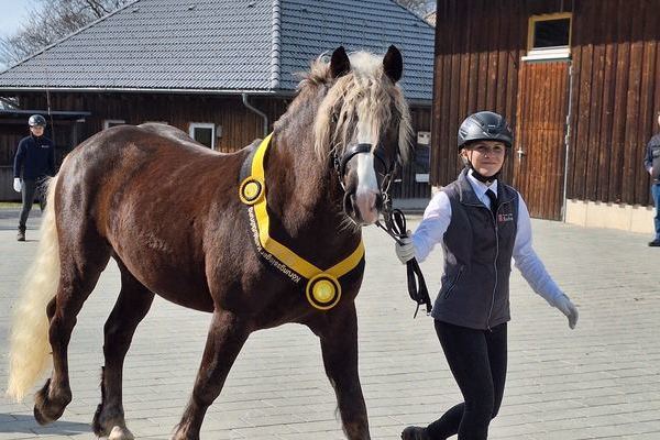 Romeo,  Deckstation St. M�rgen mit Laura Laile.j