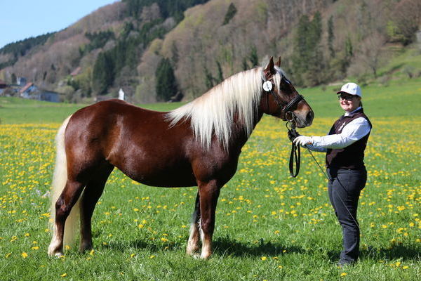 Fea von Markgraf, Note 7,28, Stefan Zehnle, Schuttertal