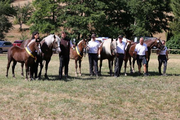 Siegerehrung von links Jonas Kuri, Thomas Tr�nkle, ZG Duffner (Foto Alfred Schw�r)
