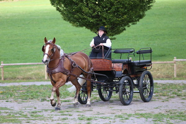Fee, 3j, Note 8,29, Maria B�hler Freiamt  (Foto Alfred Schw�r)