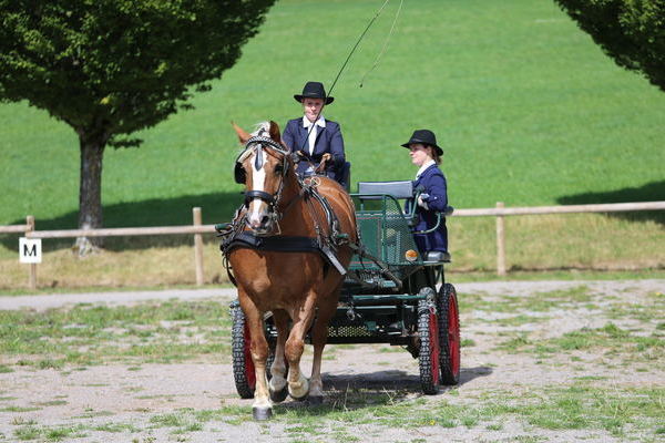 Ilara, 7j, Note 7,0 Katharina Schwenk, Freiamt  (Foto Alfred Schw�r)