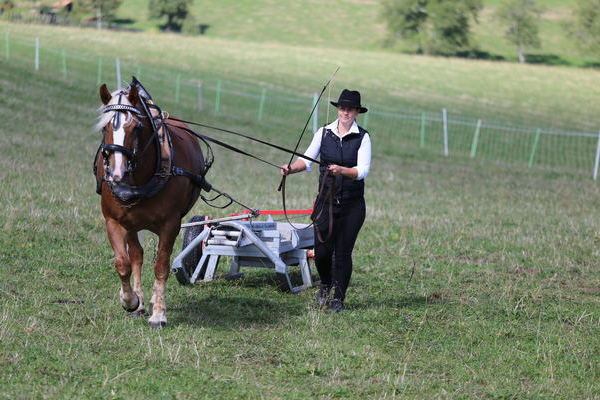 Ilara, 7j, Note 7,0 Katharina Schwenk, Freiamt  (Foto Alfred Schw�r)