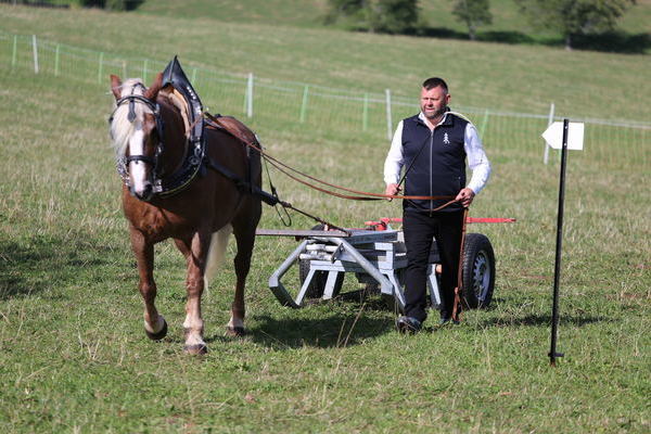 Simona, 14j, Note 8,60, ZG Wendel- Schr�der, Althornbach, Vorsteller: Roland Finsterwald  (Foto Alfred Schw�r)