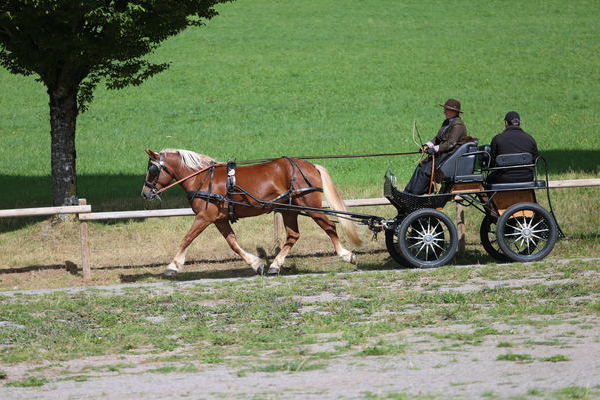 Hannelore, 5j, Note 7,94, ZG M�ller, Titisee-Neustadt  (Foto Alfred Schw�r)