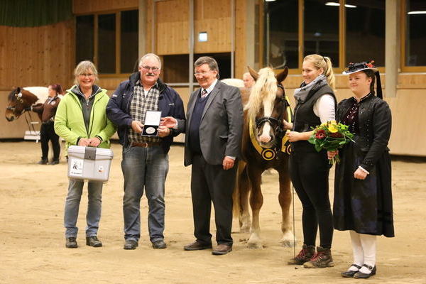 Körsieger Rubinstein mit Besitzer Werner Schultheiß und Tochter, PZV-Vorsitzender Karlheinz Eckerlin und IG Kaltblut Vorsitzende Andrea Hahn übergaben die Ehrenpreise (A.Schwär)