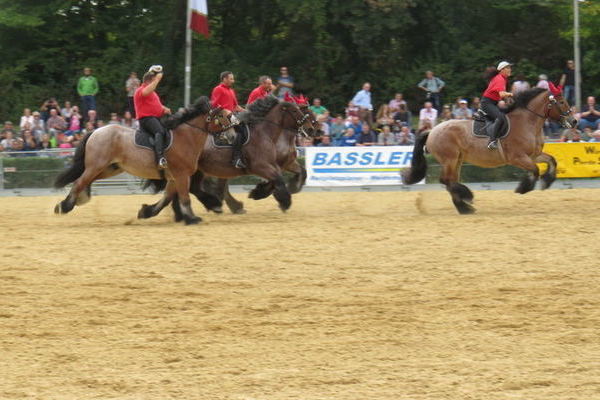 (Foto : Erika Krämer)