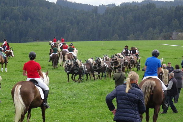 Zehnspänner von Roland Bäuerle