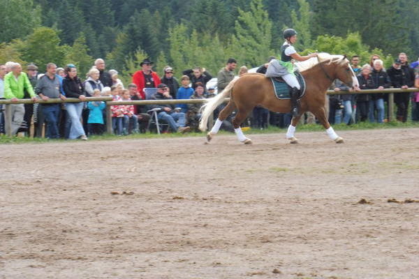 Halsringreiten mit Sinja Tutsch