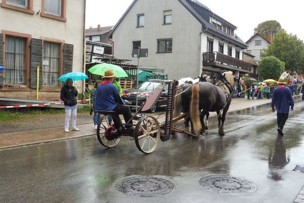 Mähmaschine