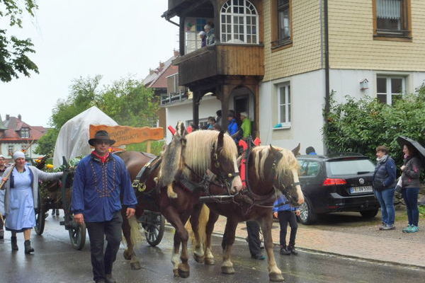 Erntedankwagen der Landfrauen St.Märgen