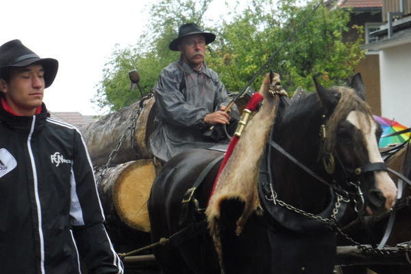 Langholzwagen sechspännig