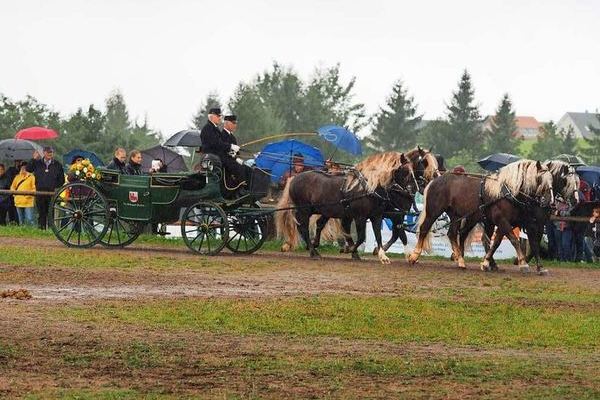 Vierspänner vom HuL Marbach mit Karlheinz Bleher an den Leinen