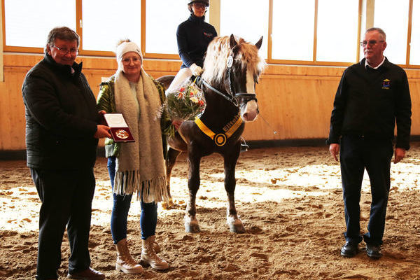 von links Karlheinz Eckerlin, Bettina Schuler, Falkenstein mit Azubi, Helmut Faller (Foto Alfred Schwär)