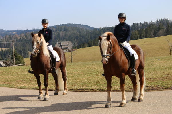 Dachsstein und Marcellus  (Fotograf Alfred Schwär)