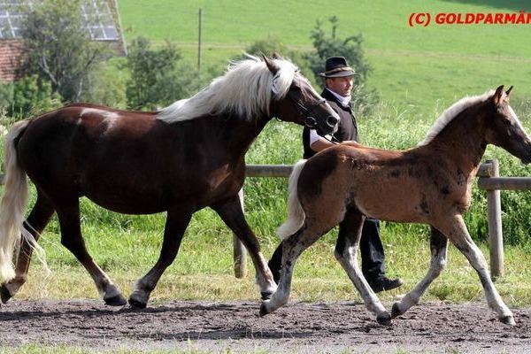 Dolomit von Donner, Familie Dettling, Niedereschach