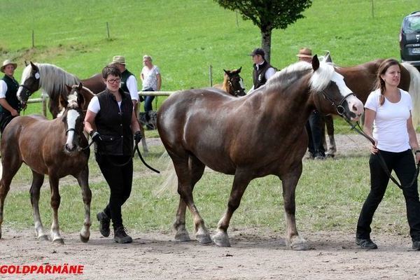 Rilanja von Markward, Johannes Stucke, Wutach
