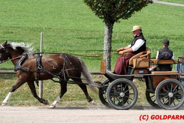 Siegerin Peggy von Ravel 8,69