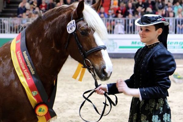 Bundessiegerstute Ilona mit Katrin Mäder