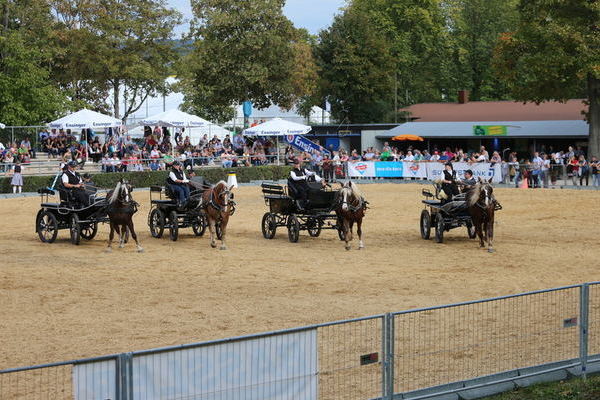 (Foto Alfred Schwär)