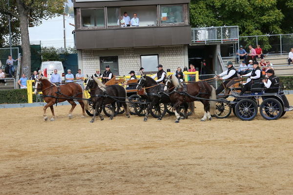 (Foto Alfred Schwär)