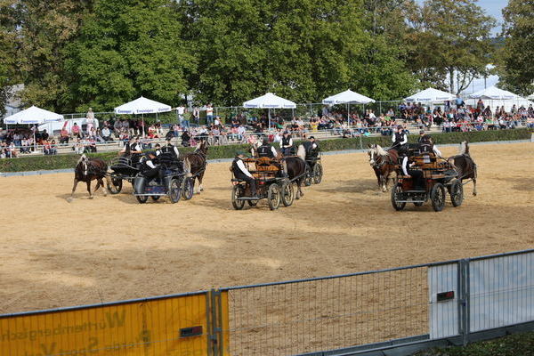 (Foto Alfred Schwär)
