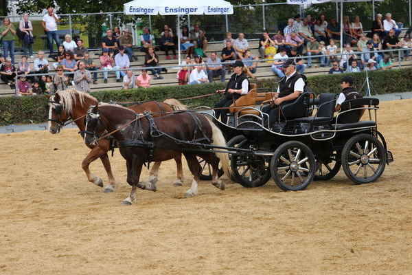 (Foto Alfred Schwär)
