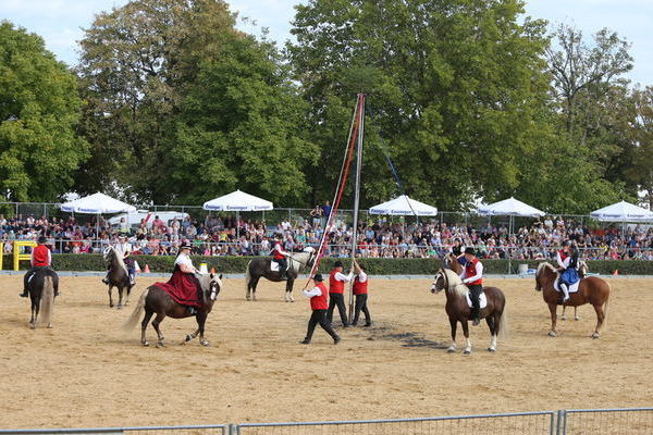 (Foto Alfred Schwär)