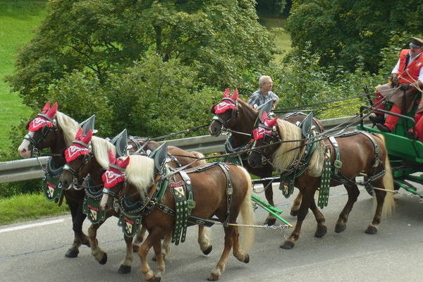 Bierbrauerei Egger aus der Schweiz
