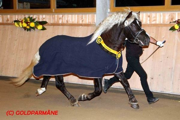 K&ouml;rsieger Donner 